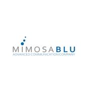 Mimosa blu